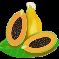 吃瓜素材免费视频网站下载,吃瓜素材一键下载，轻松获取海量资源